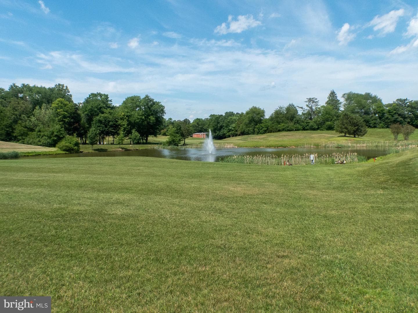 32 Towhee Court photo 50