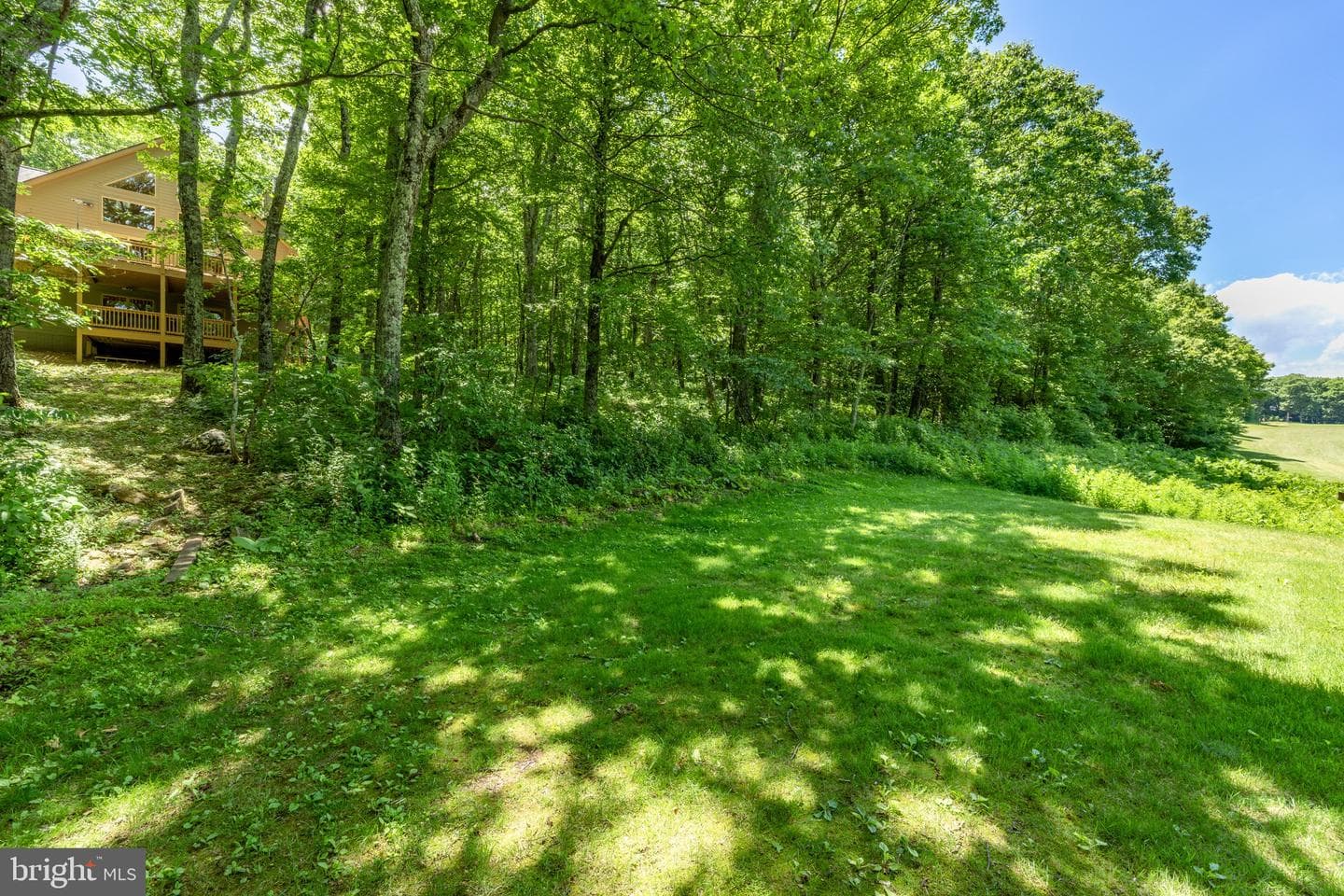 75 N Forest Drive photo 47