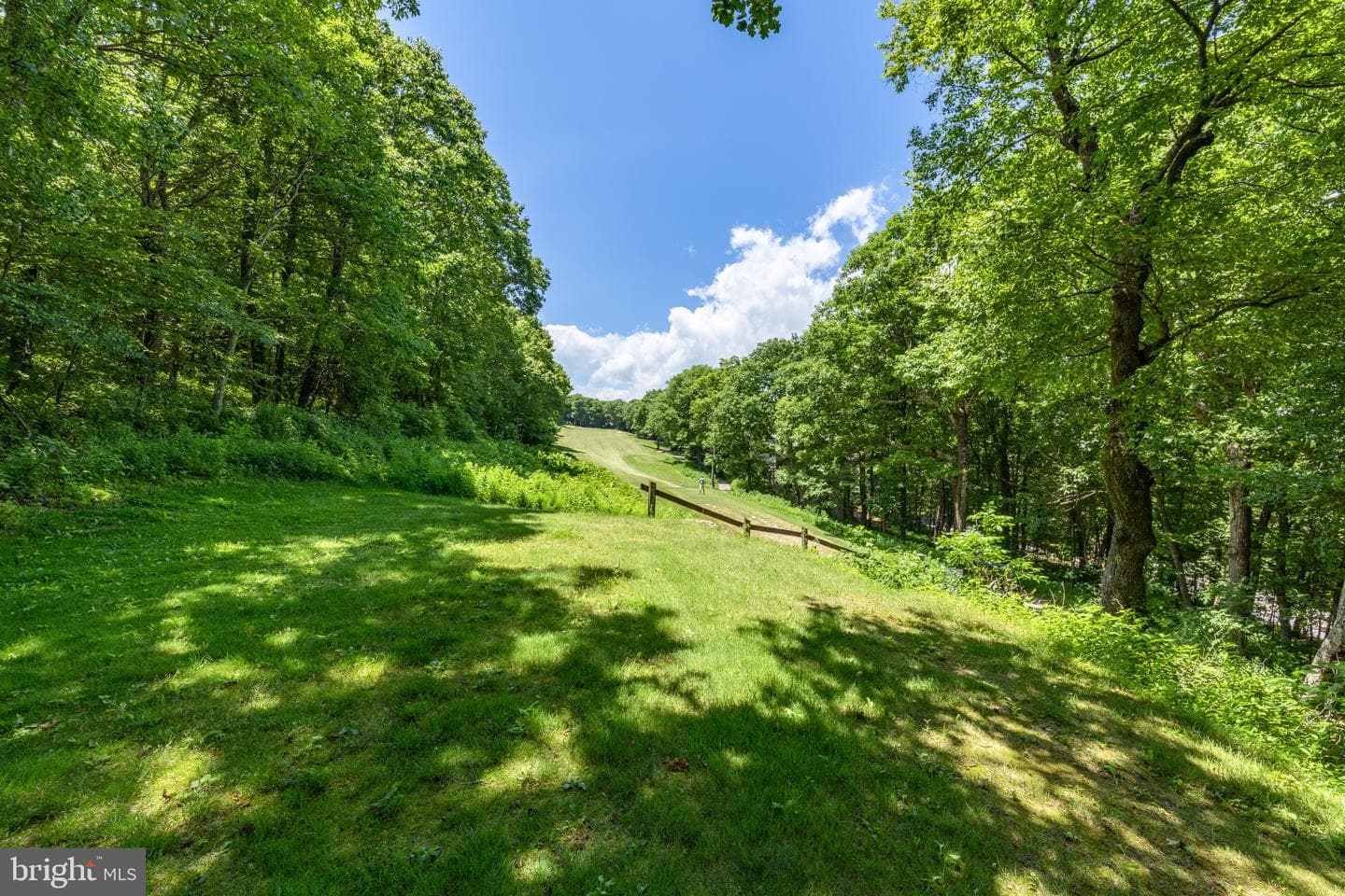 75 N Forest Drive photo 50