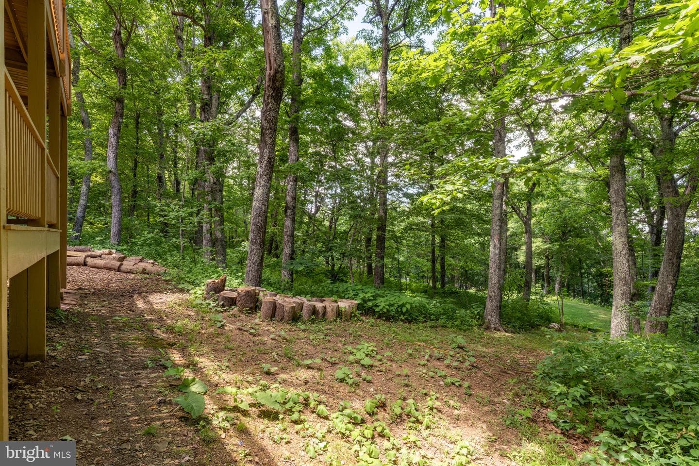 75 N Forest Drive photo 52
