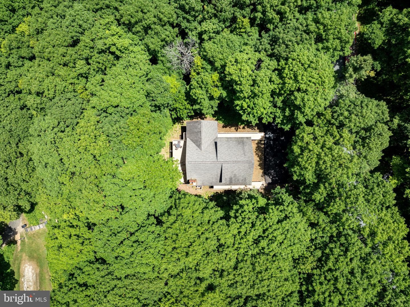 75 N Forest Drive photo 57