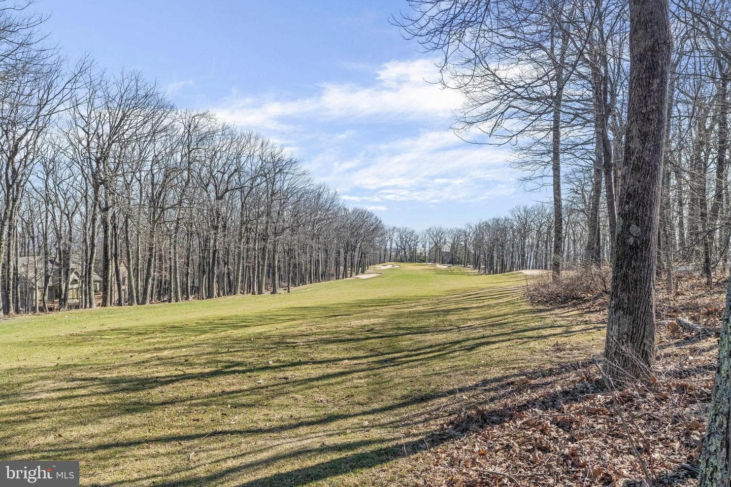 52 Deer Springs Lane photo 108