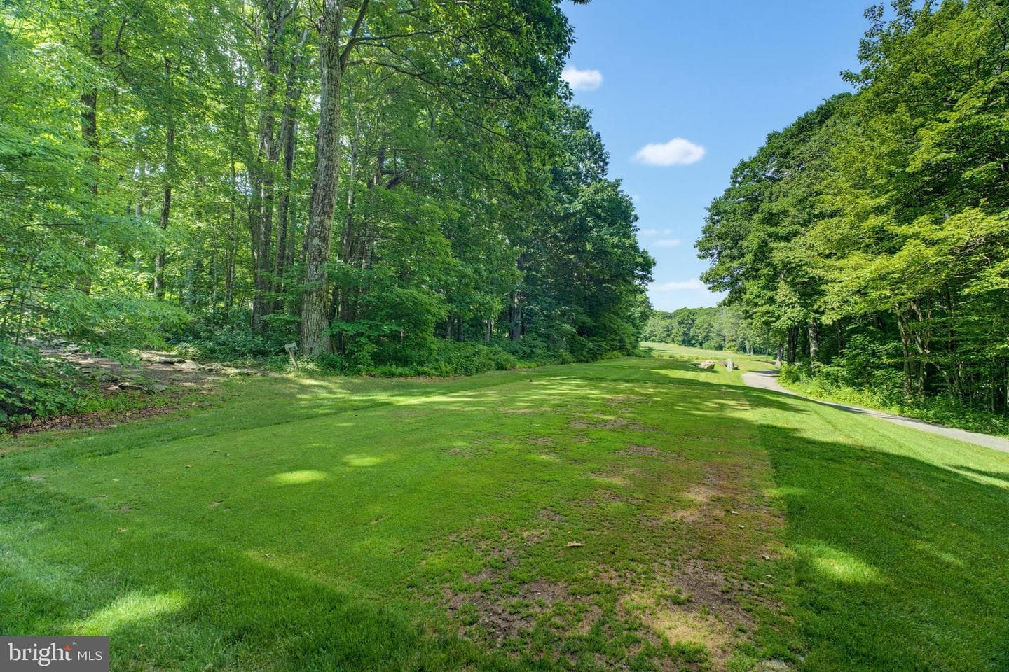 52 Deer Springs Lane photo 3