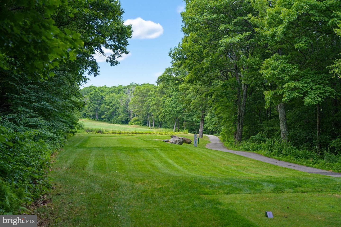 52 Deer Springs Lane photo 70