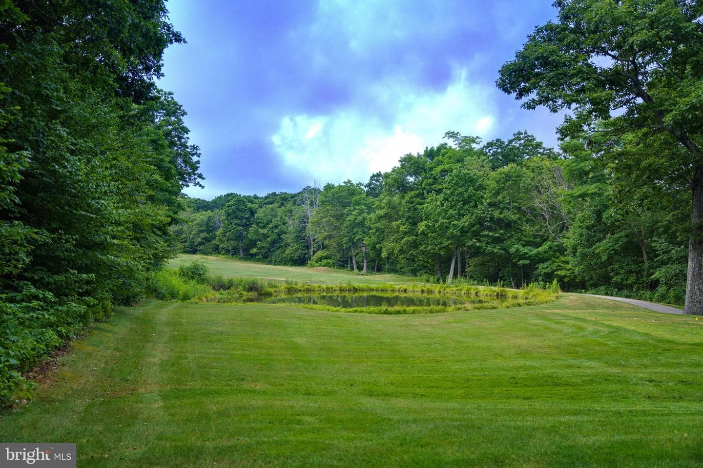 52 Deer Springs Lane photo 71