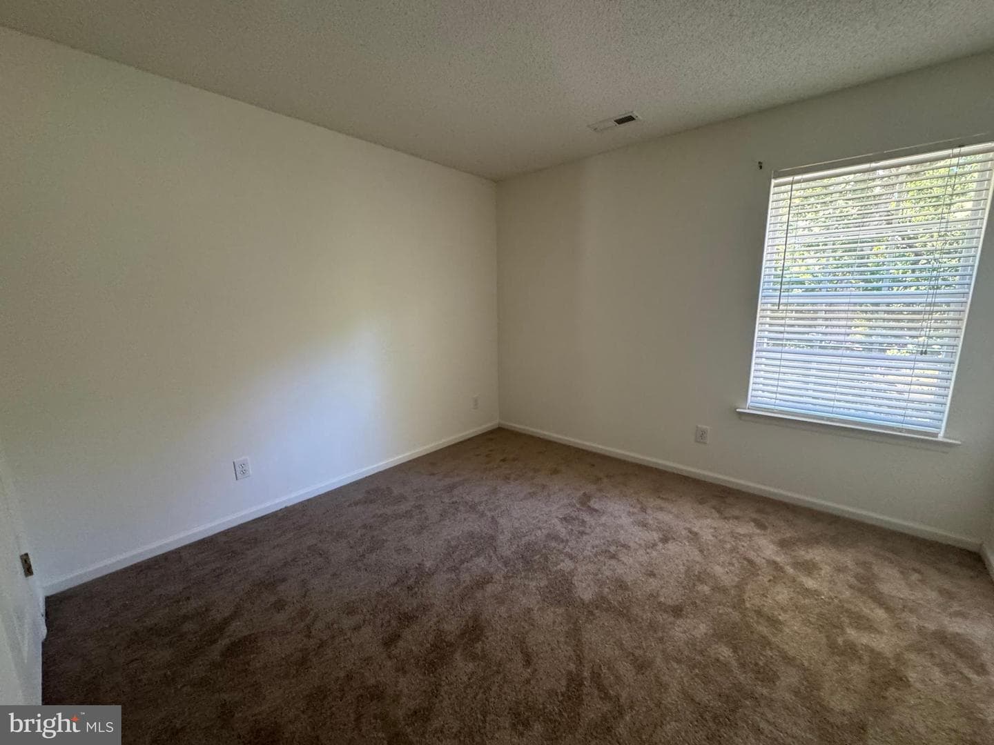 223 Southlake Place photo 20