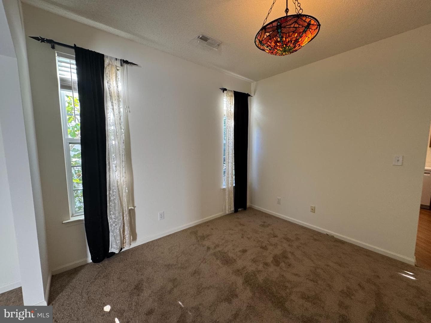 223 Southlake Place photo 8