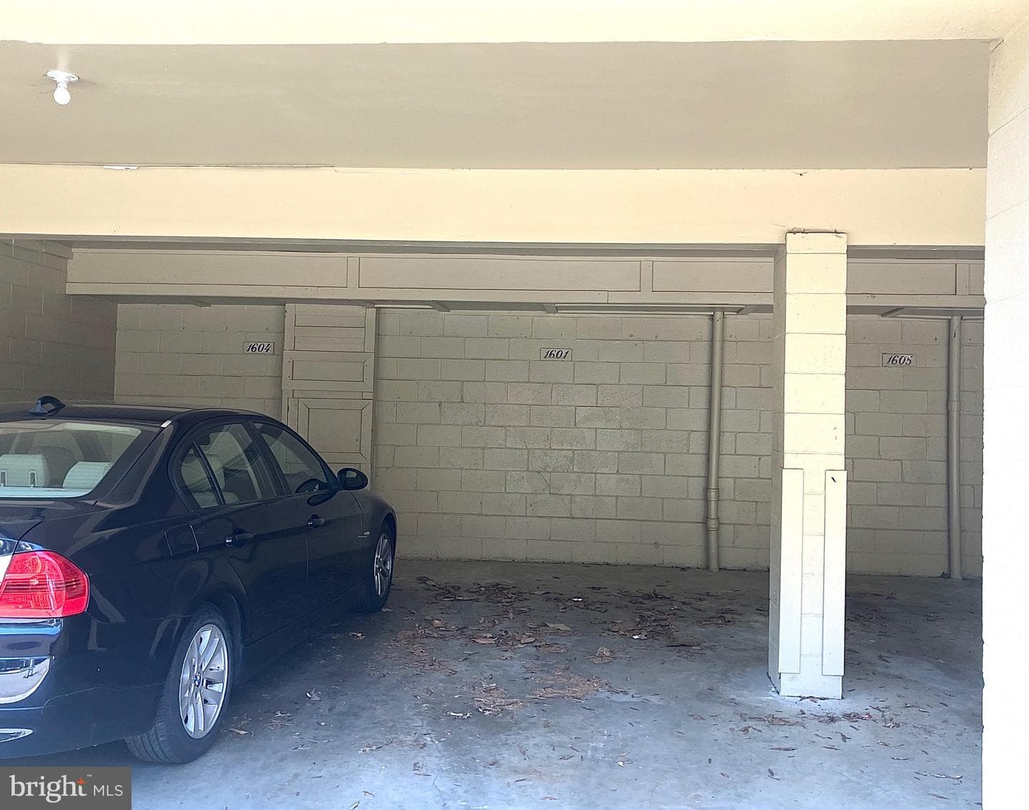 1601 Malibu Place photo 13
