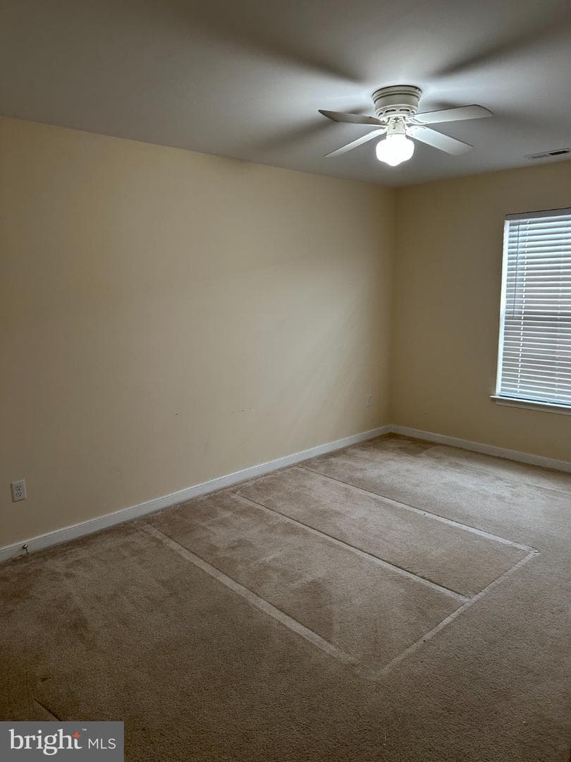 78 Zenith Loop photo 3