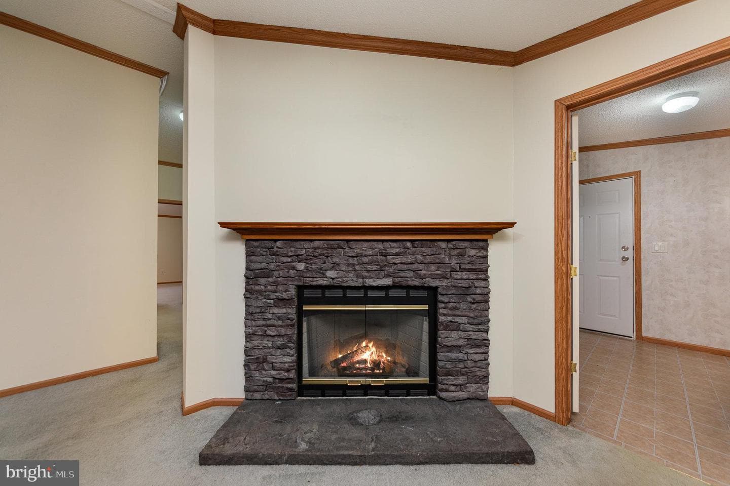 14 Knights Dr photo 8