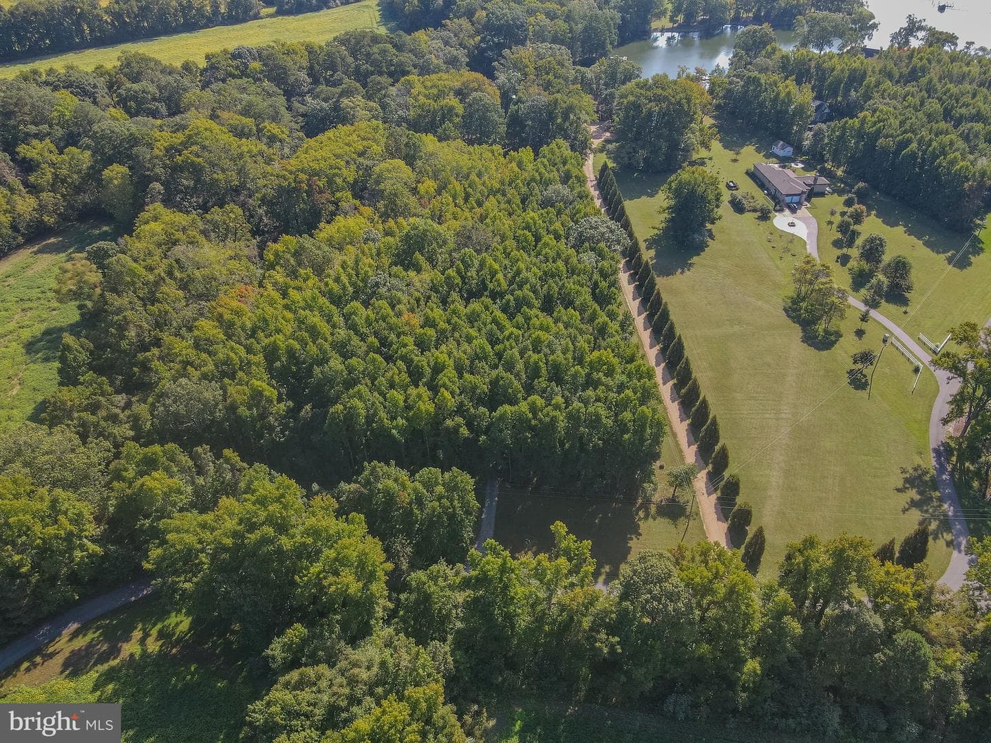 409 Whittaker Lane photo 50