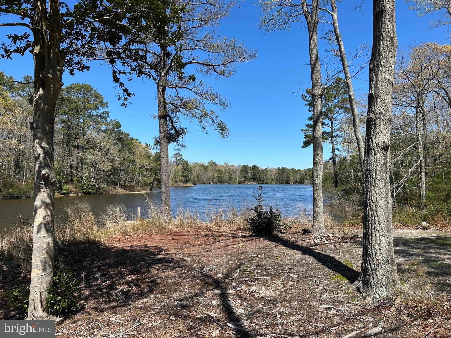 521 Taylor's Beach Road photo 31
