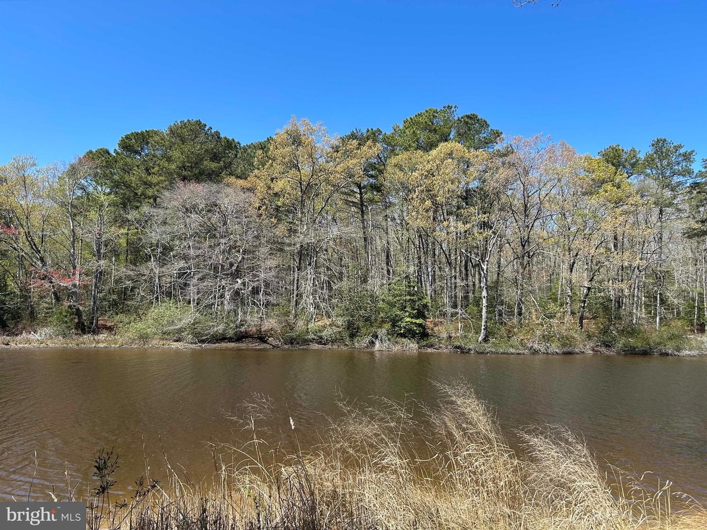 521 Taylor's Beach Road photo 33