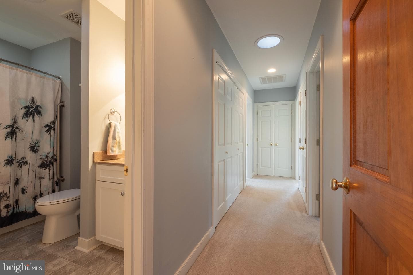 162 Hall Farm Drive photo 26