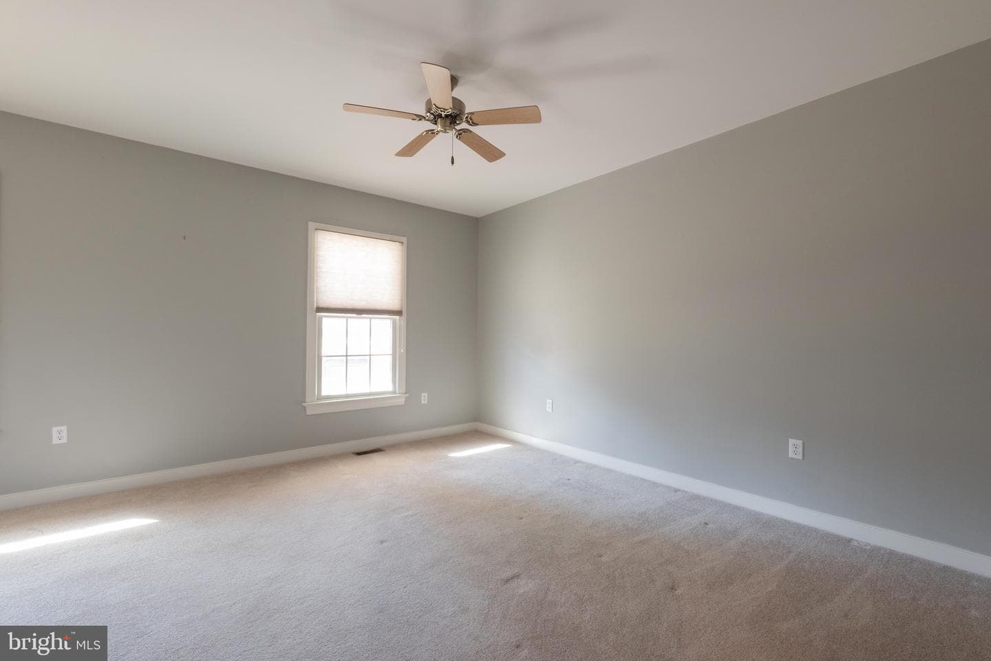 162 Hall Farm Drive photo 27