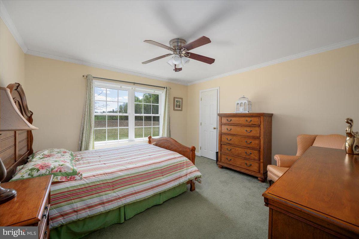 321 Walnut Point Road photo 33