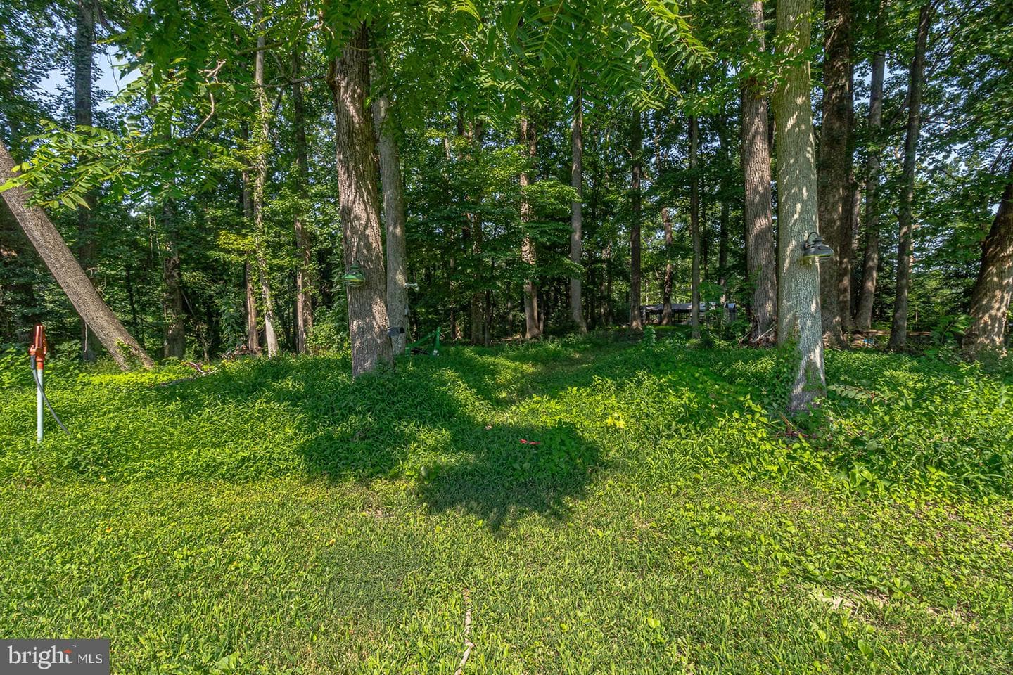 813 Coan Harbour Drive photo 78