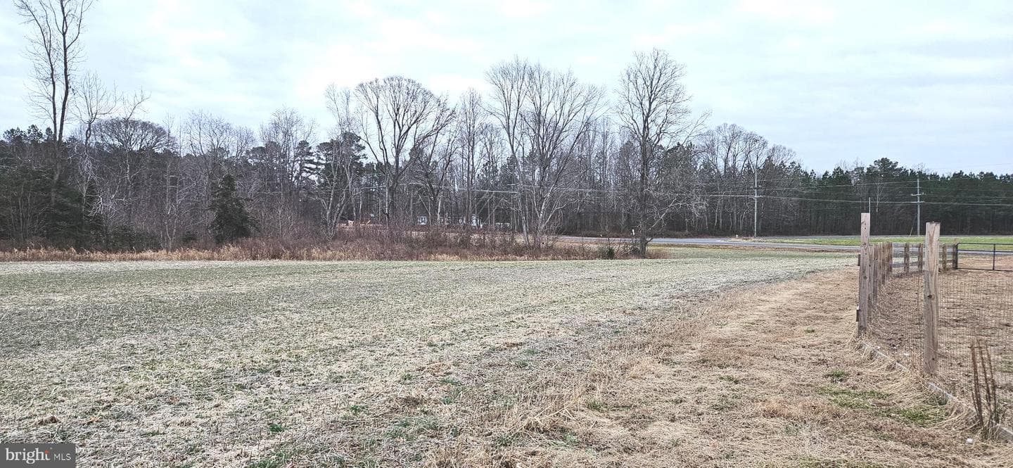 2033 Courthouse Road photo 37