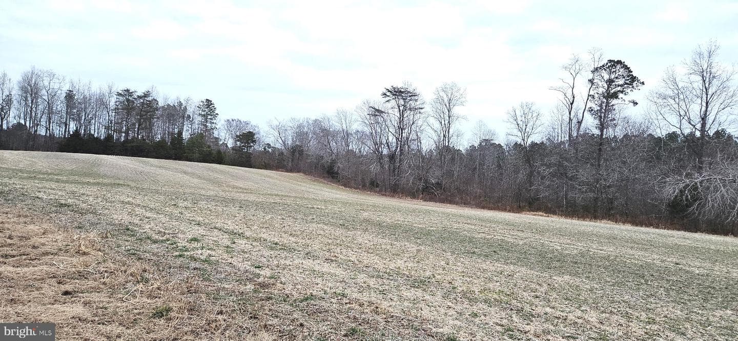 2033 Courthouse Road photo 43