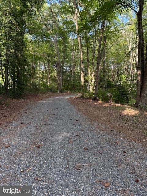 306 Liberty Road photo 46