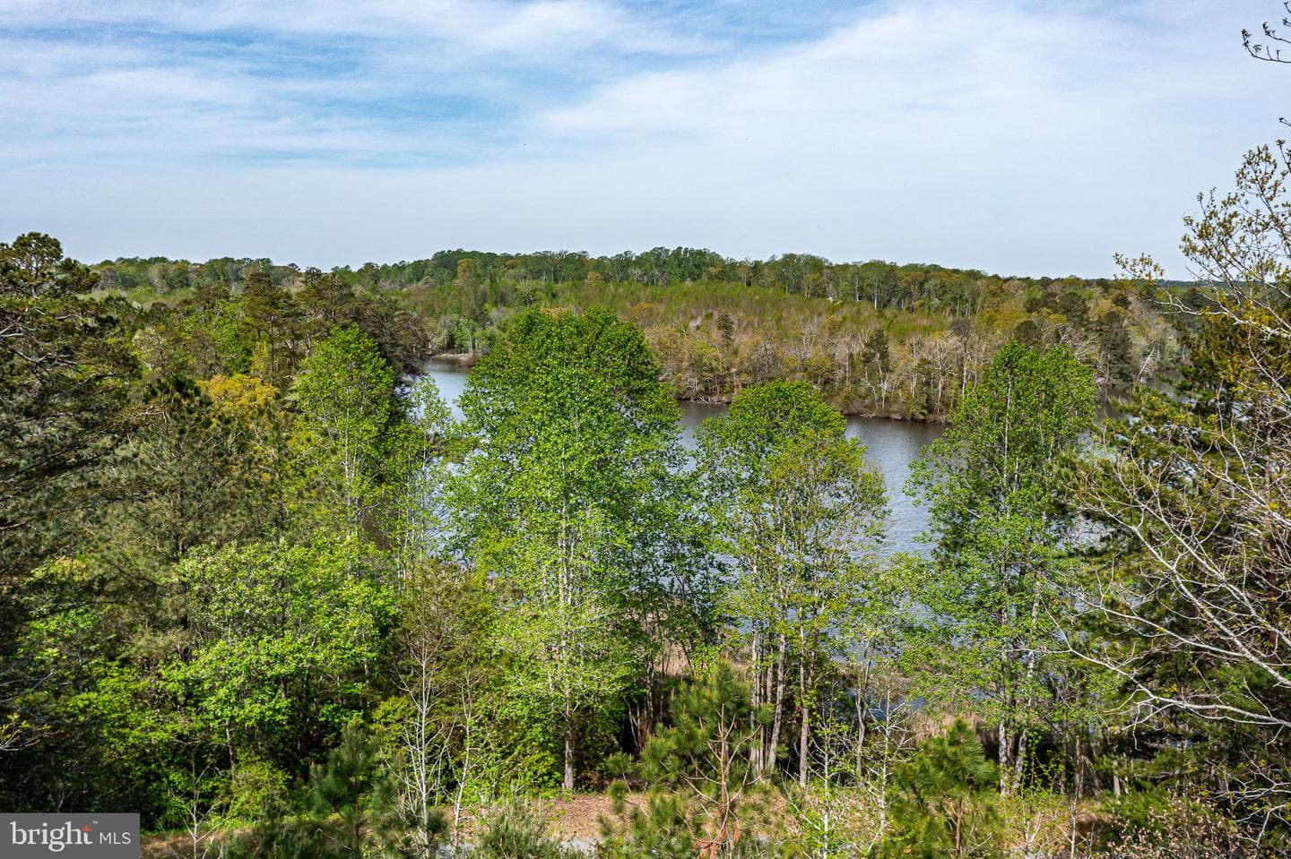 76 Pintail Court photo 57