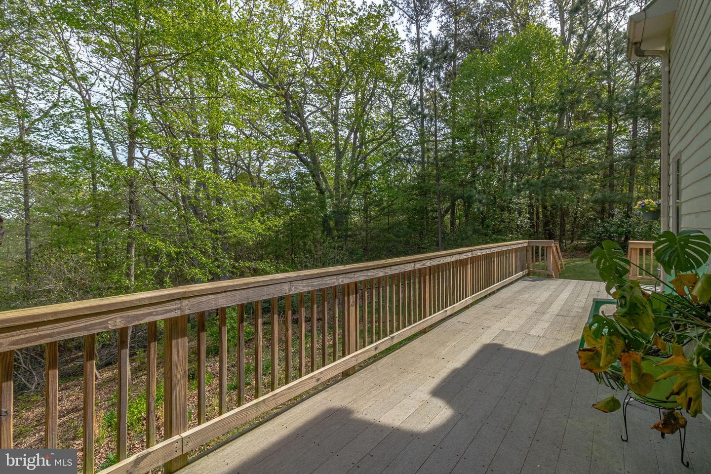 76 Pintail Court photo 83