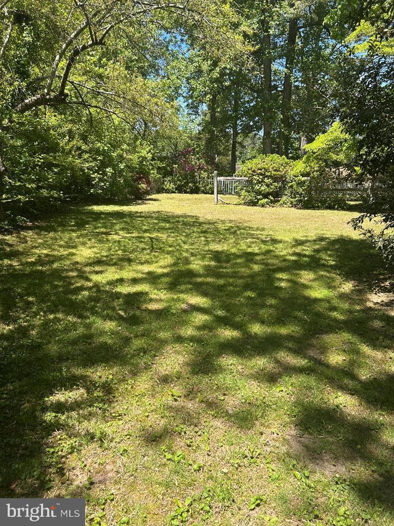 32 Clifton Avenue photo 17