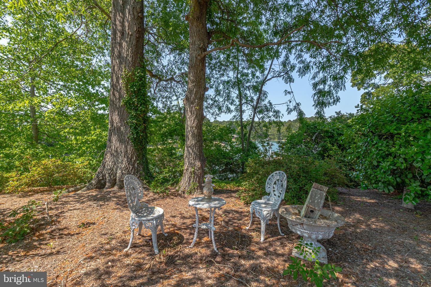 108 Hall Farm Dr photo 58