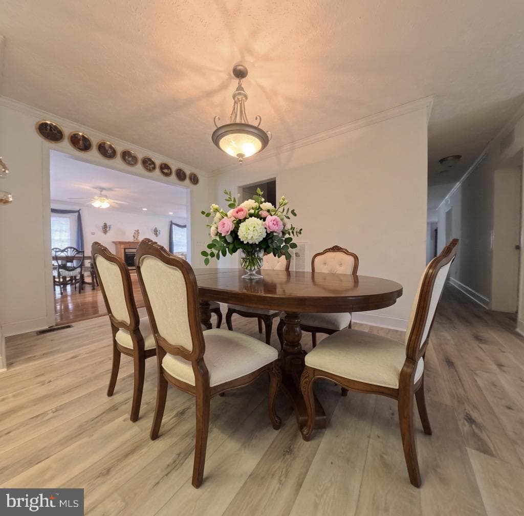110 E Harbor Dr photo 4