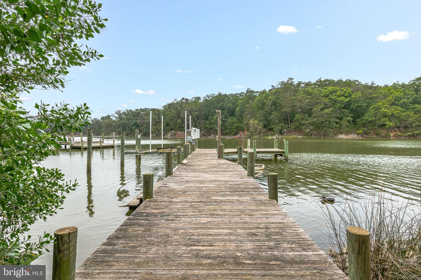 142 Bridge Lane photo 42