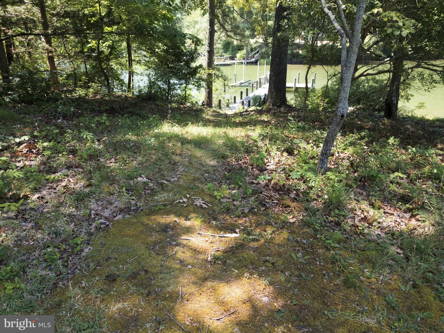 252 Gougher Lane photo 51