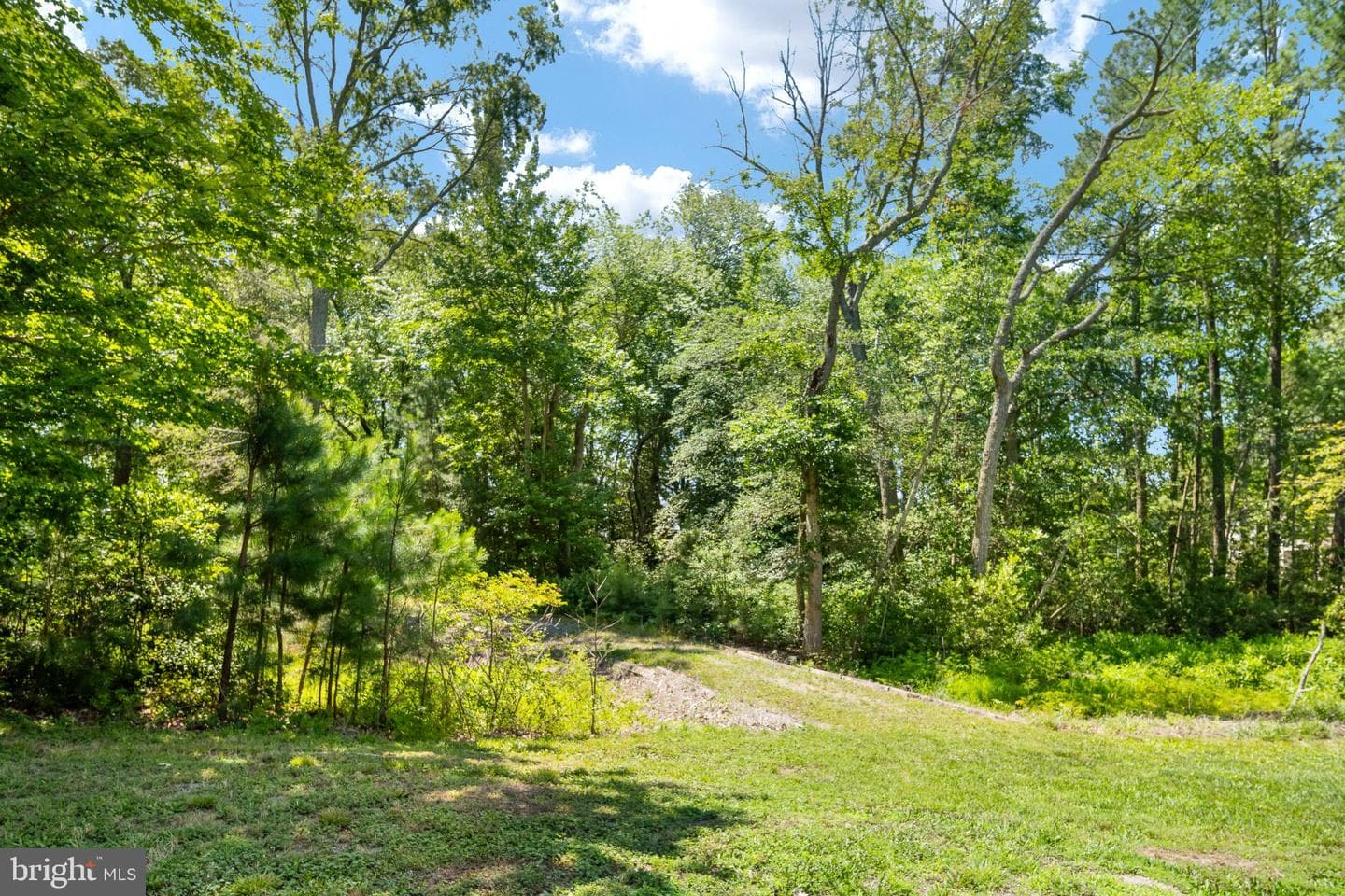279 Harbor Dr photo 88
