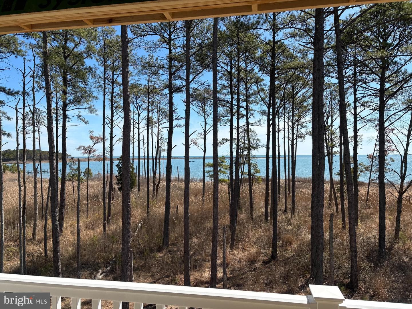 107 Galway Bay Lane photo 16