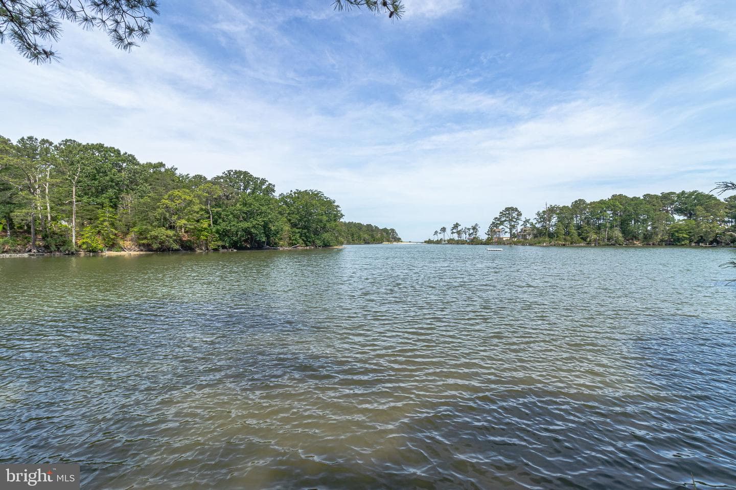 355 River View Road photo 66