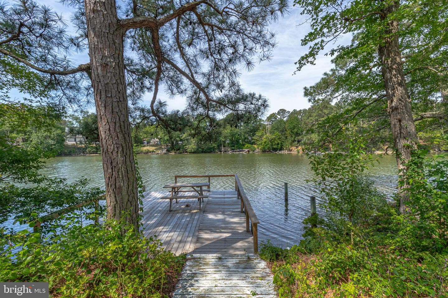 355 River View Road photo 68