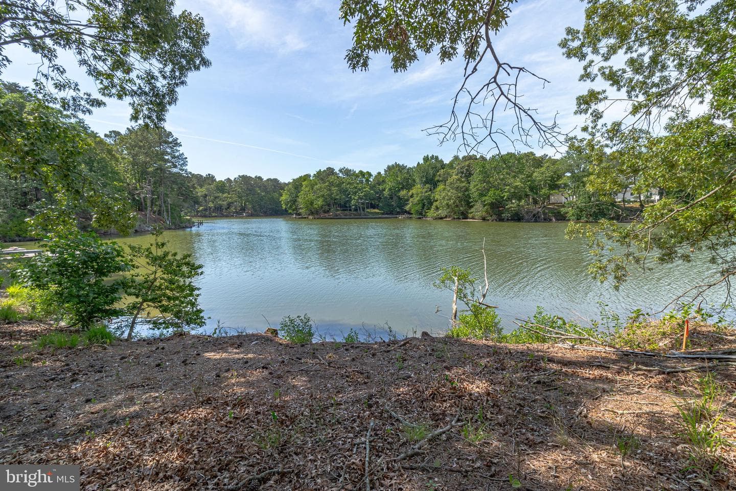 355 River View Road photo 76