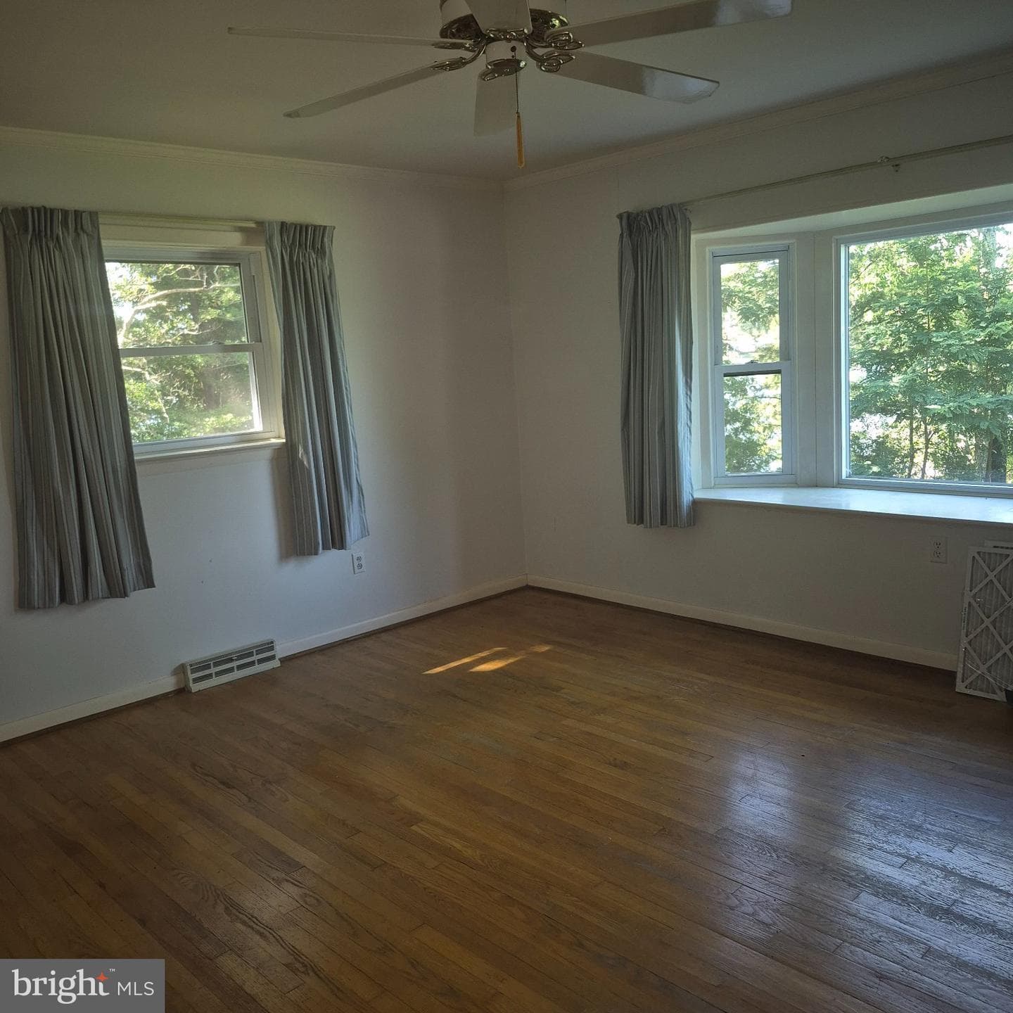 559 Lee Dale Drive photo 7