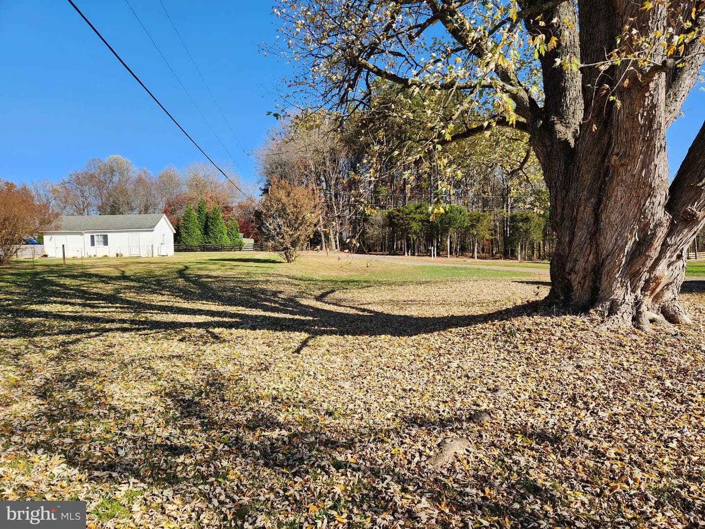 11230 Laurel Lane photo 7