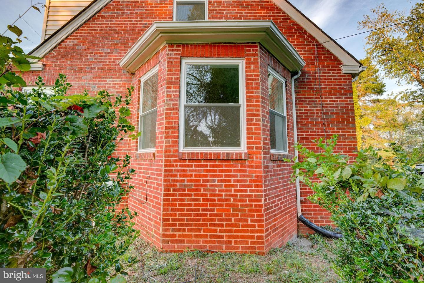 24049 Village Road photo 46