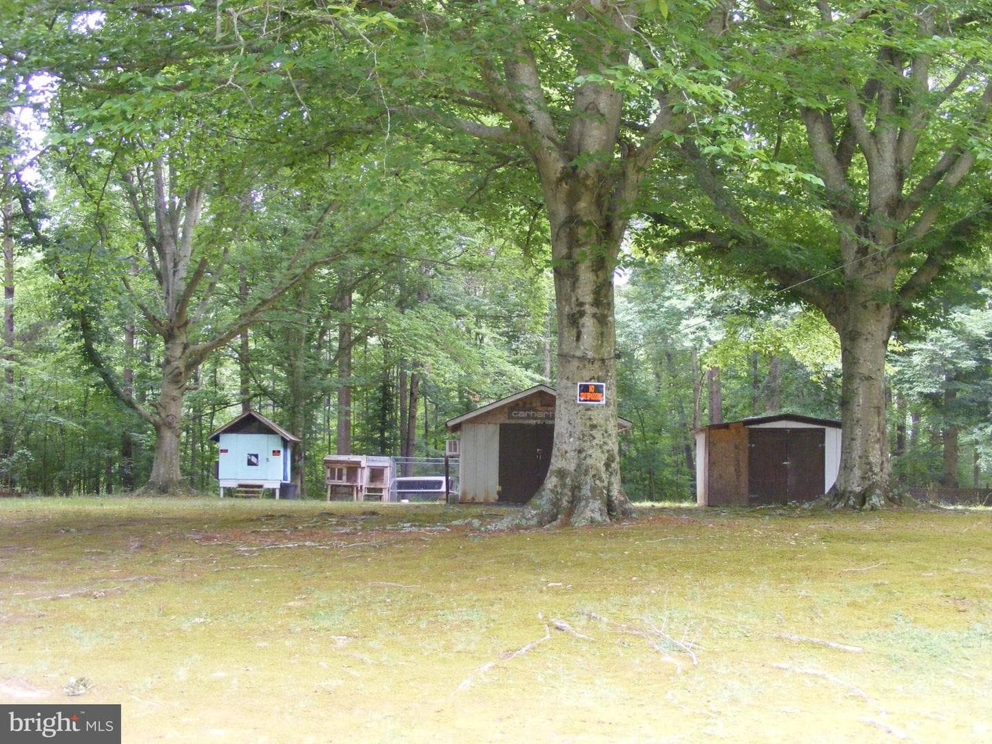 29324 Raccoon Ford Road photo 20