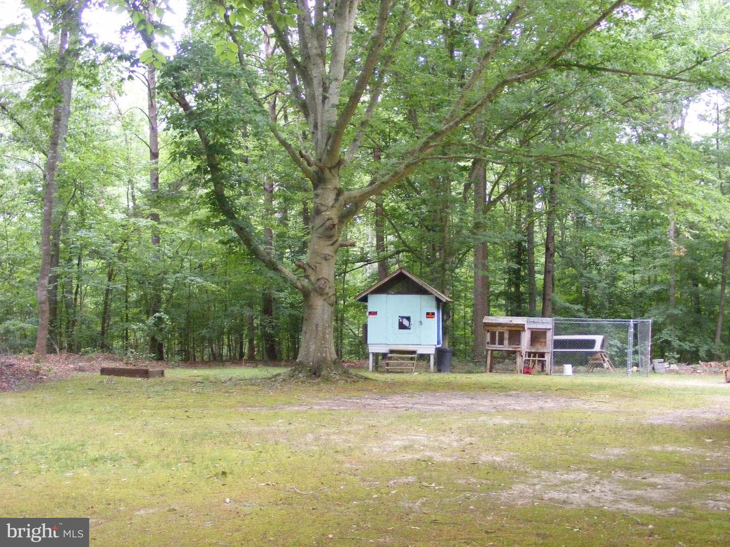 29324 Raccoon Ford Road photo 21