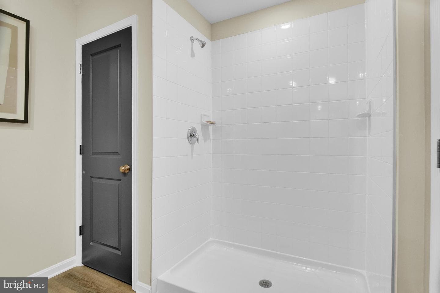 2933 White Tail Drive photo 22