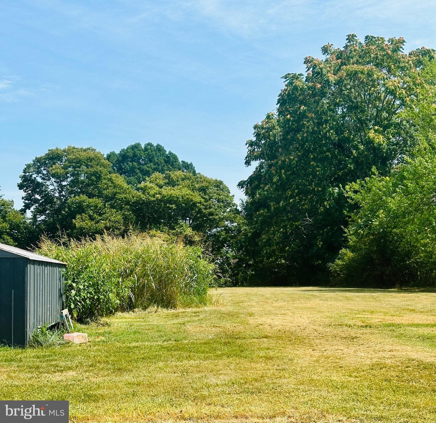 23334 Village Road photo 5