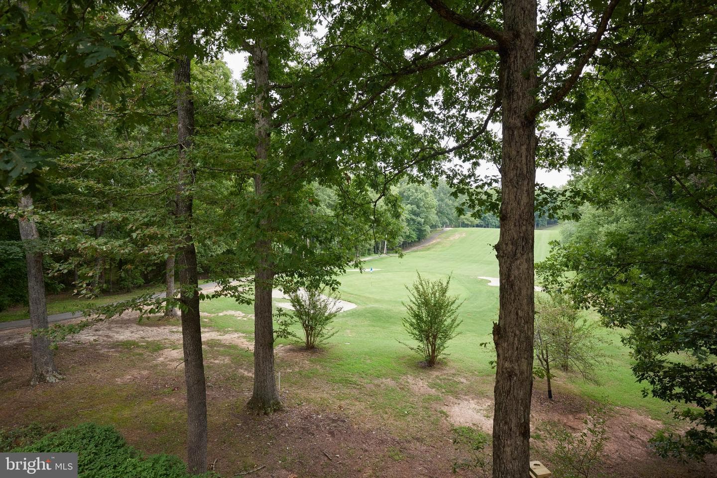 111 Chesterfield Court photo 31