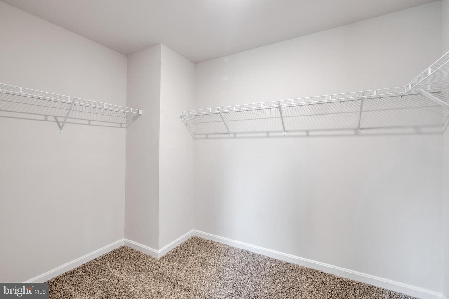 35539 Bobcat Terrace photo 17