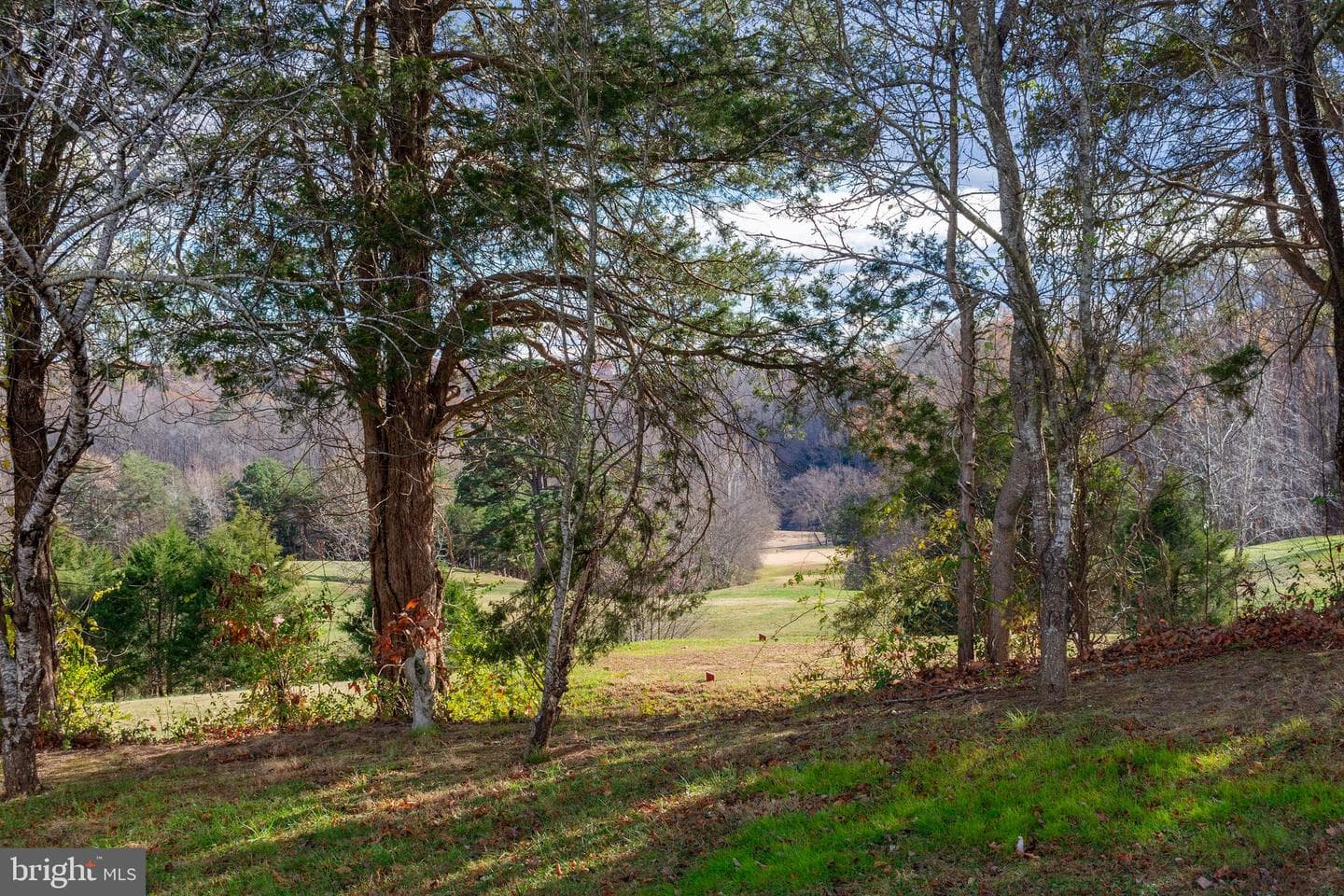 35498 Somerset Ridge Road photo 10