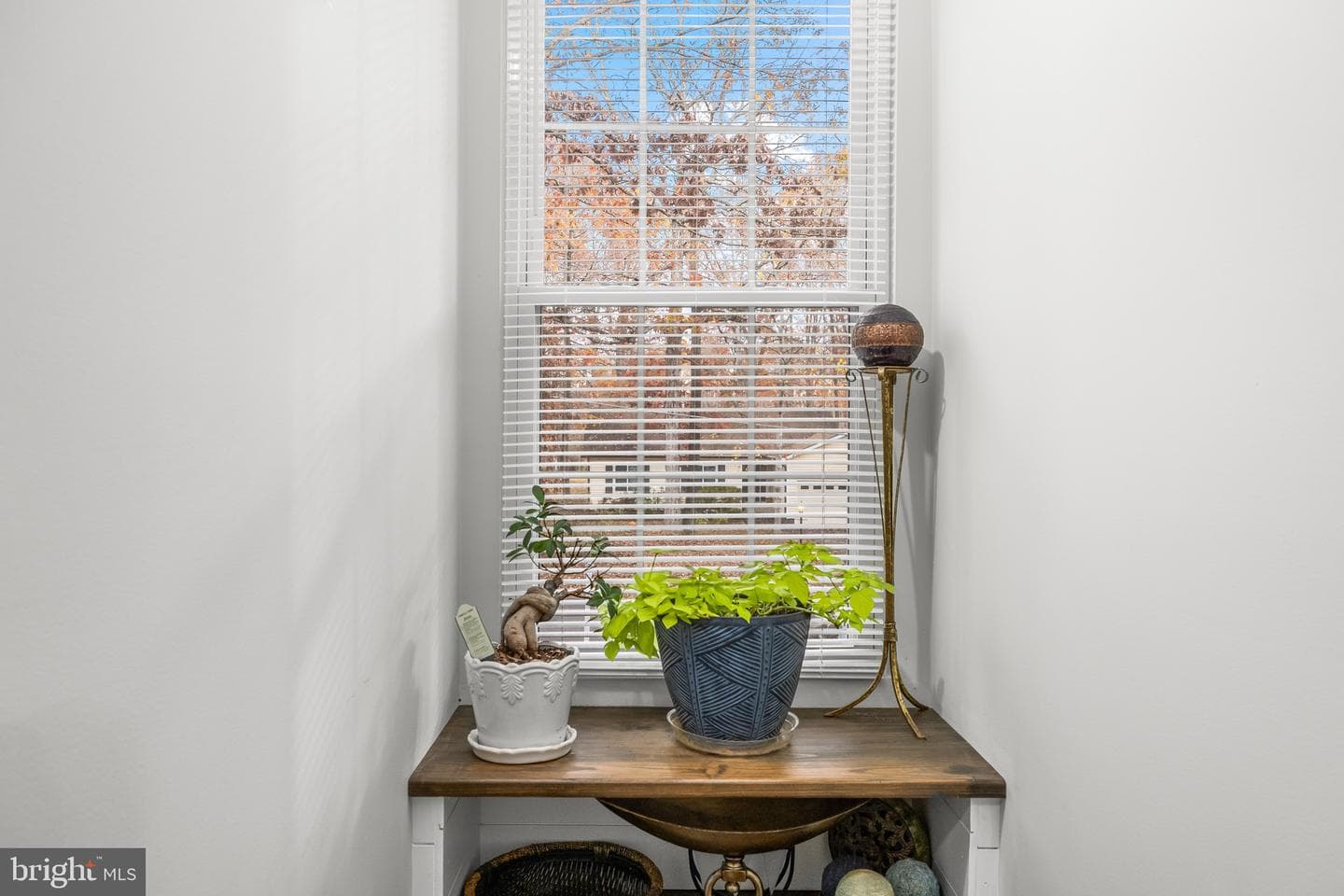 517 Mt Pleasant photo 42