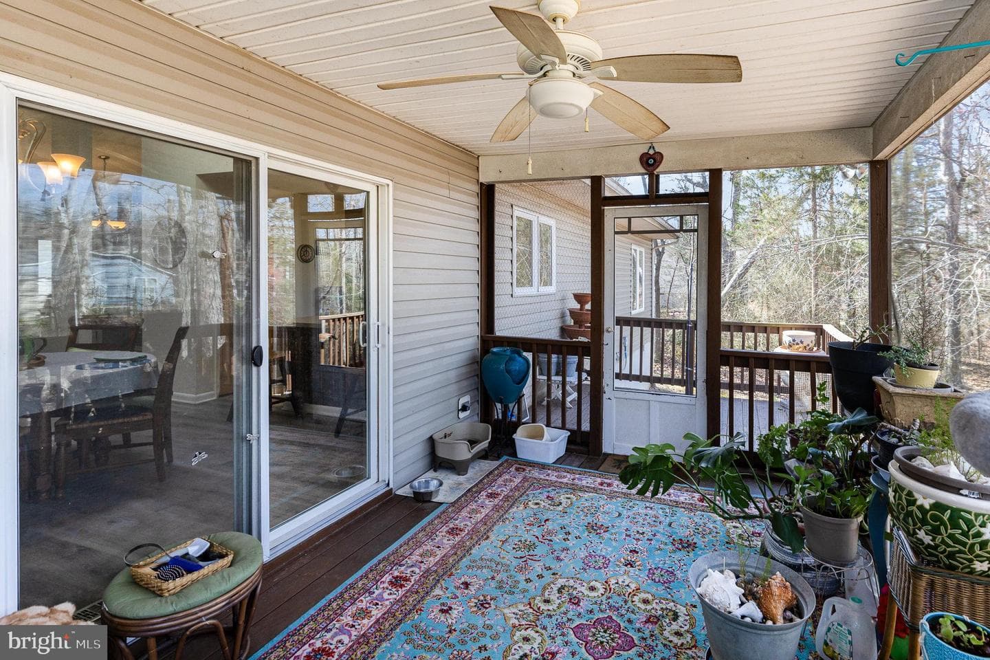 109 Republic Avenue photo 23