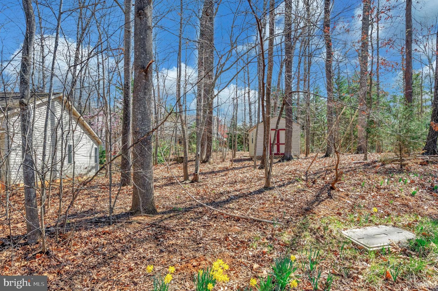 100 Monticello Circle photo 67
