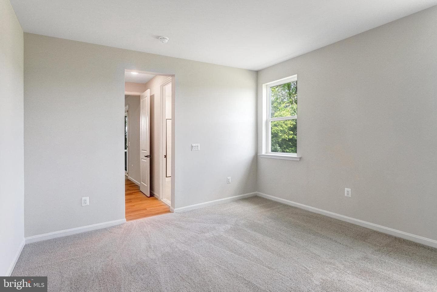 635 Clover Lane photo 18